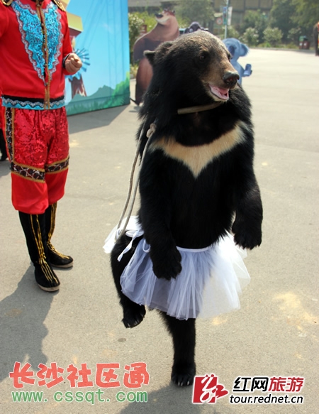 С˰